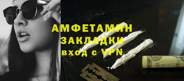 стафф Алзамай