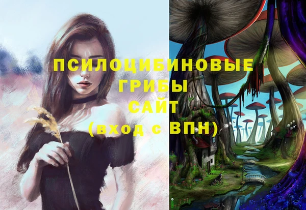 стафф Алзамай