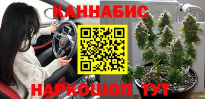 прущая мука Гатчина