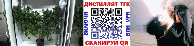 Дистиллят ТГК Wax  блэк спрут   Мытищи 