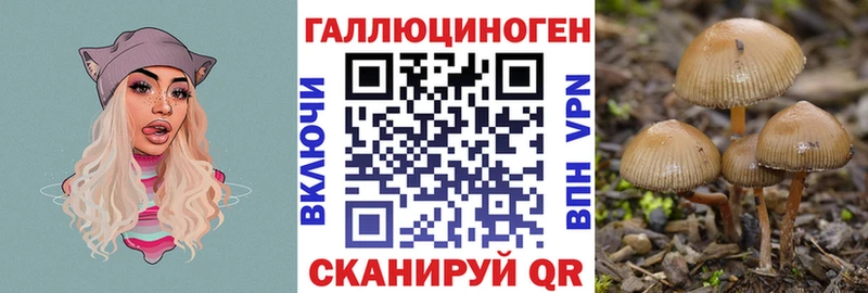 цены   Мытищи  кракен вход  Галлюциногенные грибы Cubensis 
