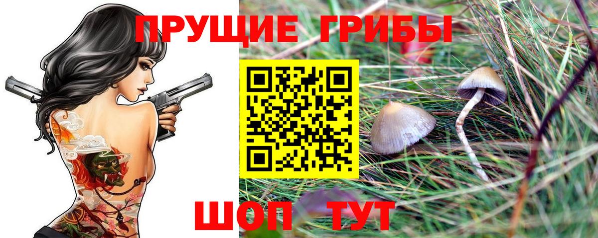 Галлюциногенные грибы мухоморы Мытищи
