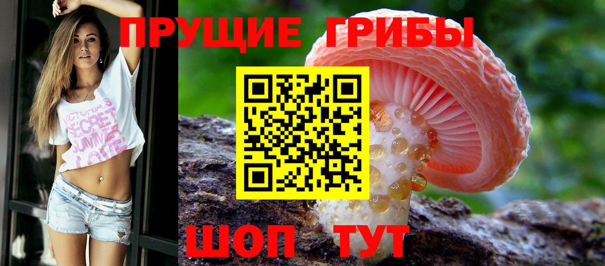 Галлюциногенные грибы прущие грибы  Вход с VPN  Мытищи 